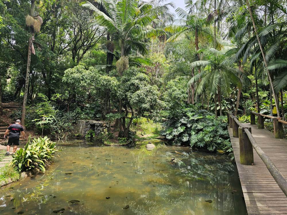 Nature of South America